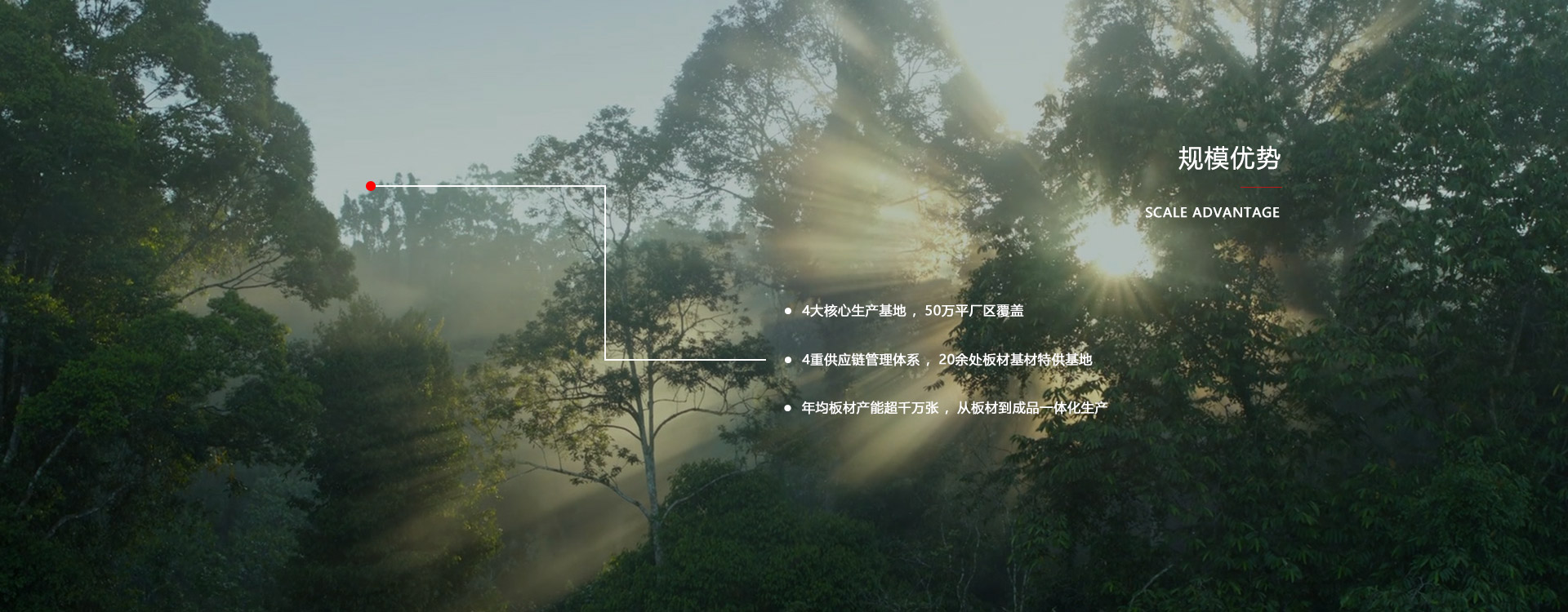 bifa必发集团板材厂家规模