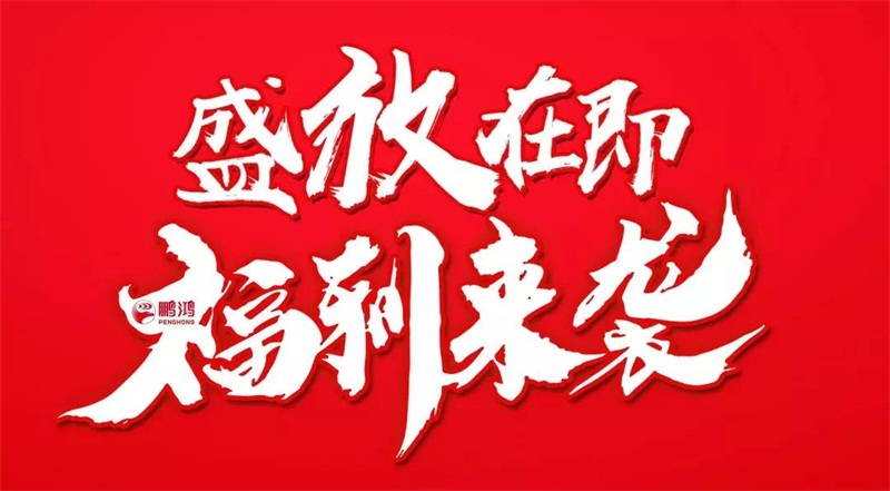 1-1Z50G01510431 bifa必发集团定造家居