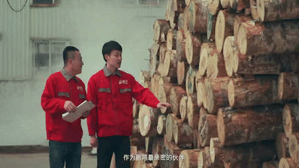 图片 首页|bifa必发集团中国官方网站