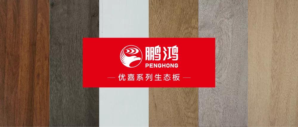 新闻7 首页|bifa必发集团中国官方网站