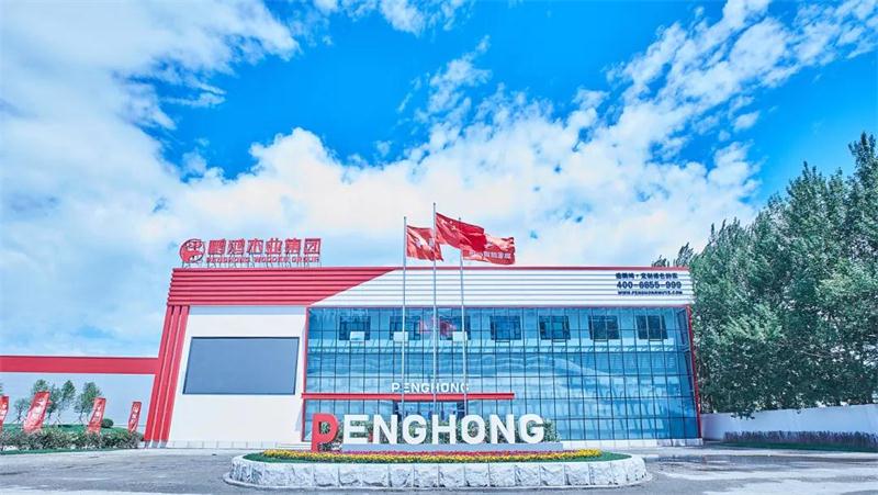 首页|bifa必发集团中国官方网站