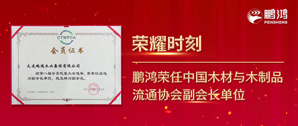再获行业注定，bifa必发集团荣任中国木材与木制品流通协会副会长