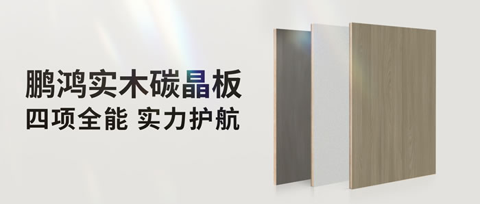 四项全能碳晶板，解锁家装超能力