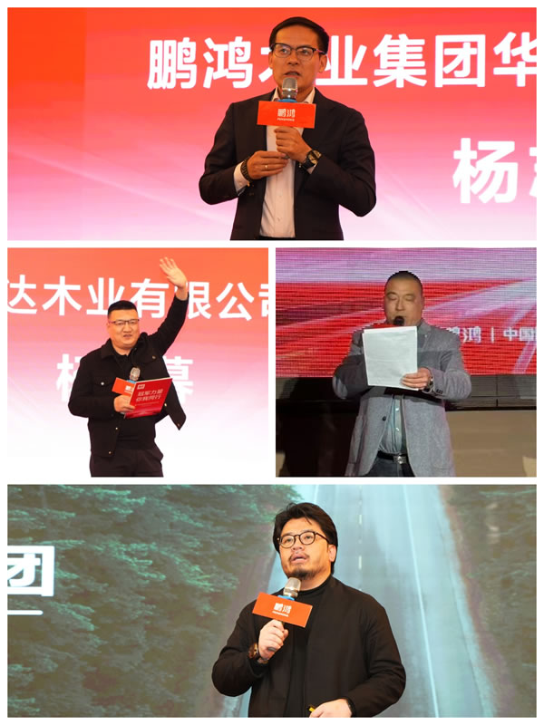 bifa必发集团板材2025新品推介会双城同启